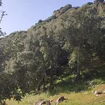 Il Nuraghe 3* アルブス