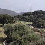 Il Nuraghe アルブス