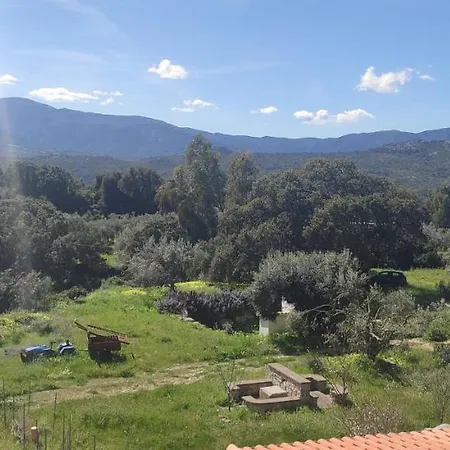 Oda ve Kahvaltı Il Nuraghe