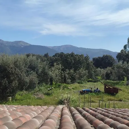 Il Nuraghe Bed & Breakfast 3*