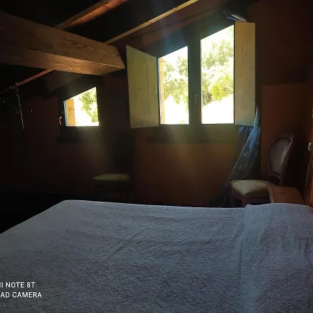 Il Nuraghe 阿勃丝