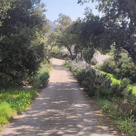 Il Nuraghe ארבוס