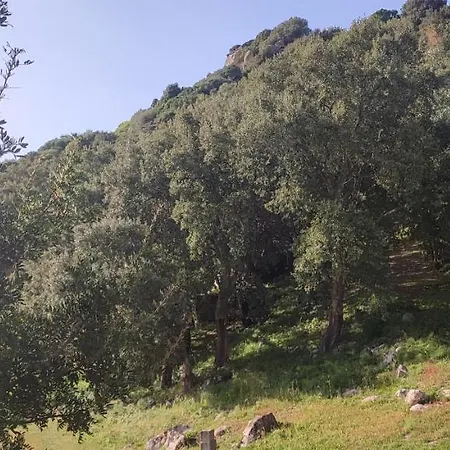 Il Nuraghe 3* アルブス