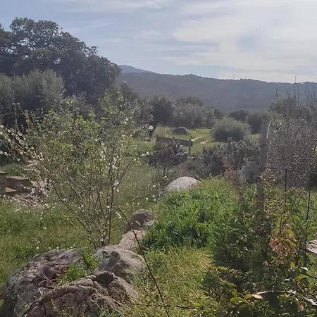 Bed & Breakfast Il Nuraghe Arbus