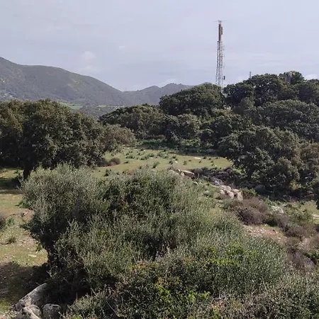 Il Nuraghe ארבוס