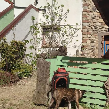 Bed and breakfast Il Nuraghe Arbus