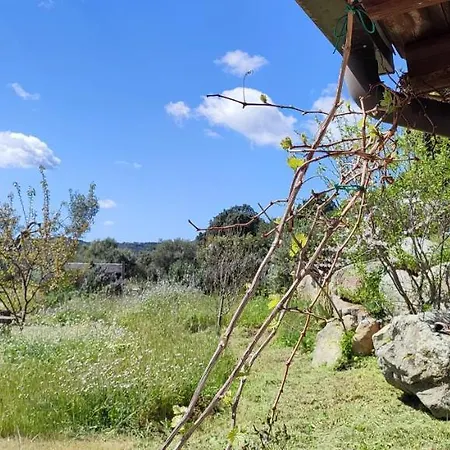 Il Nuraghe 3* Арбус