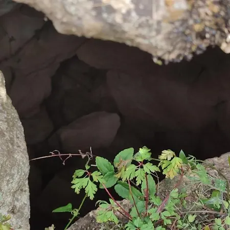 Il Nuraghe فندق مبيت وإفطار