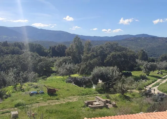 Bed and breakfast Il Nuraghe